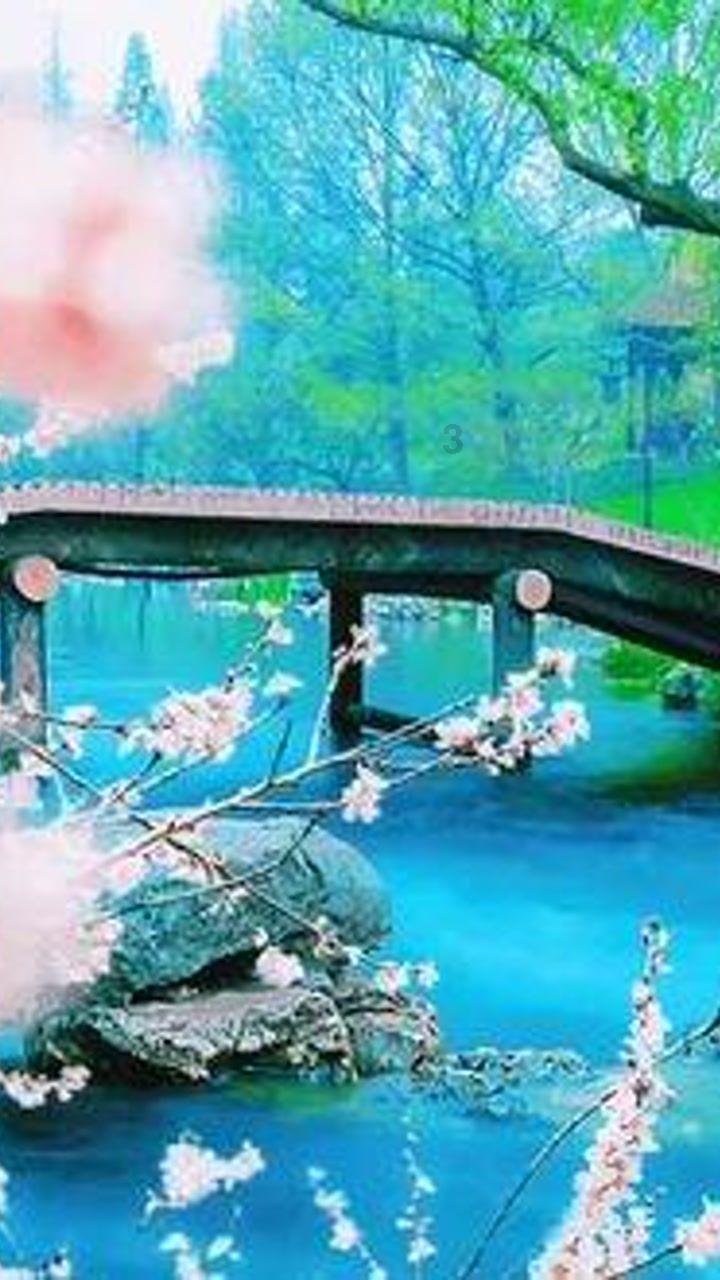 燃烧吧大脑免广告最新版